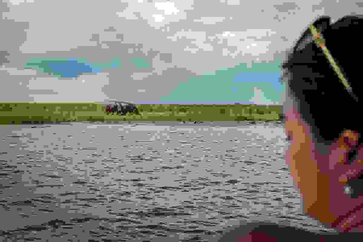 broken image