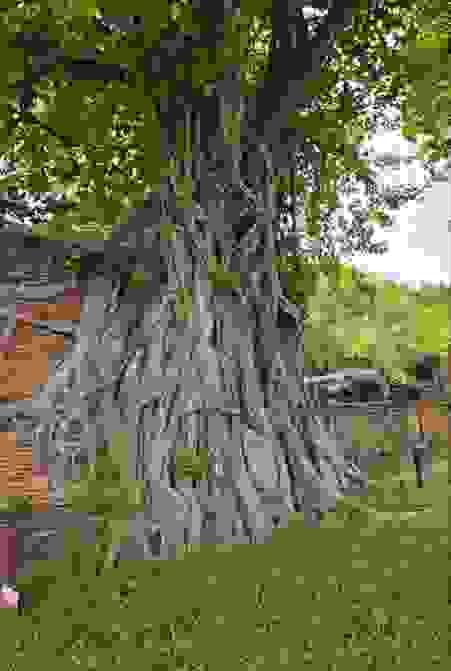 Wat Mahathat