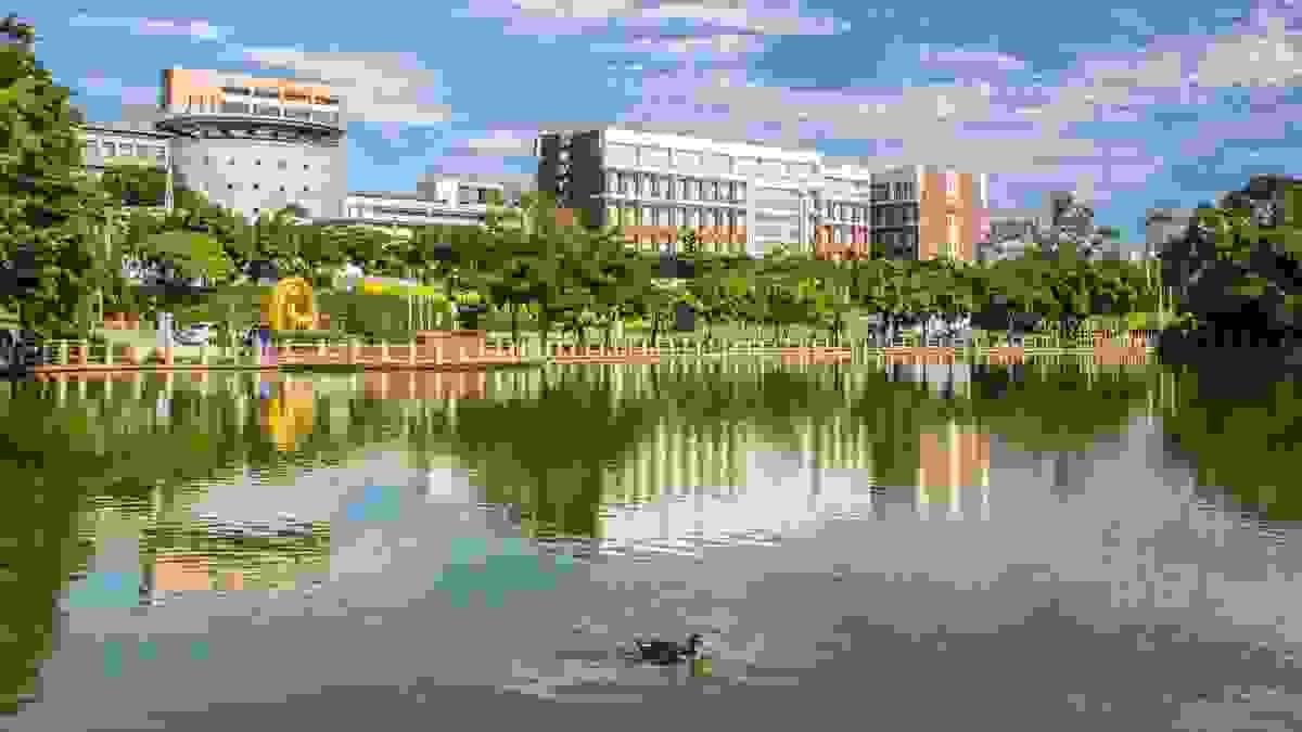 broken image
