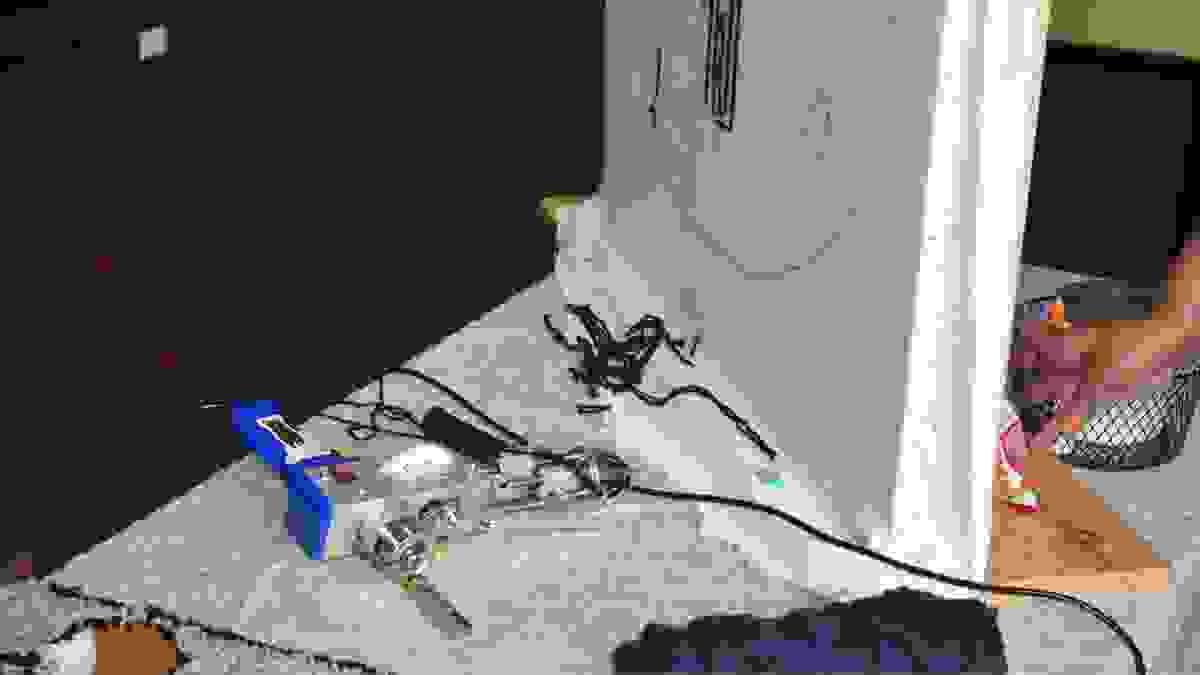 Section image
