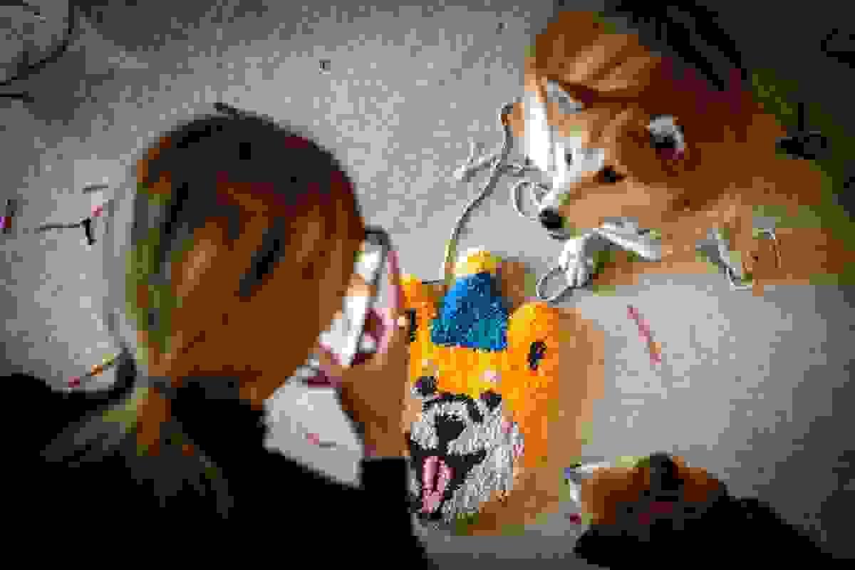 broken image