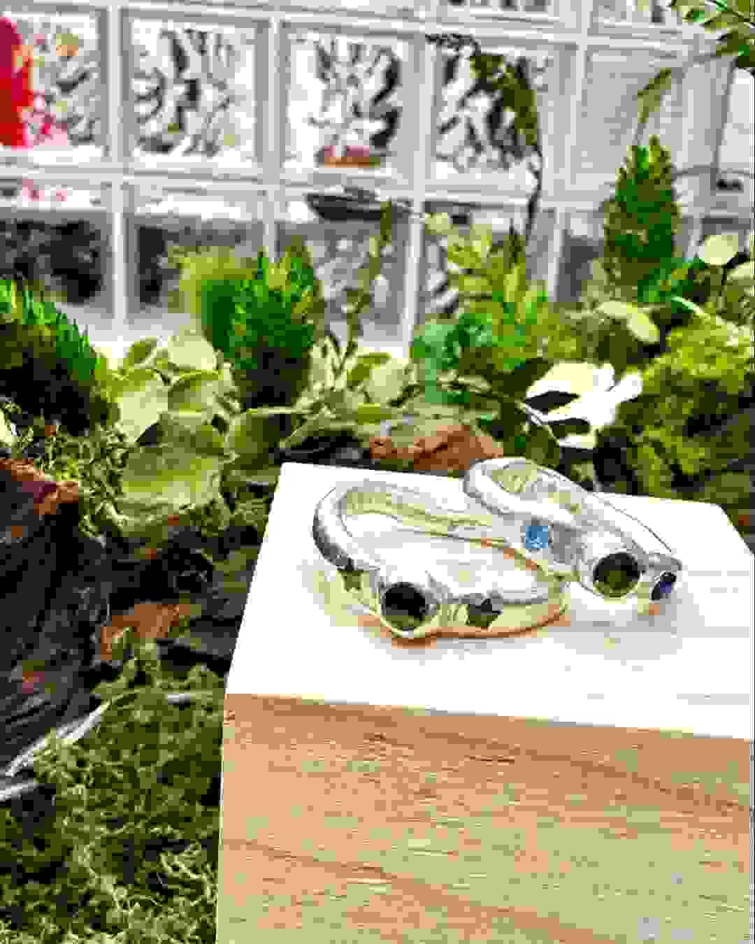 broken image