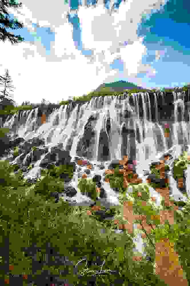 Section image