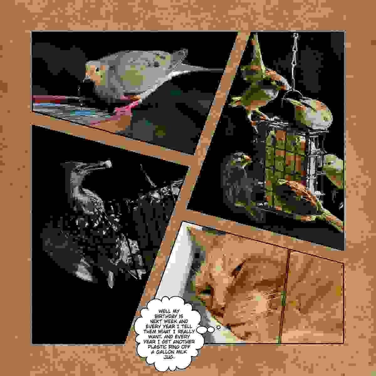 Section image