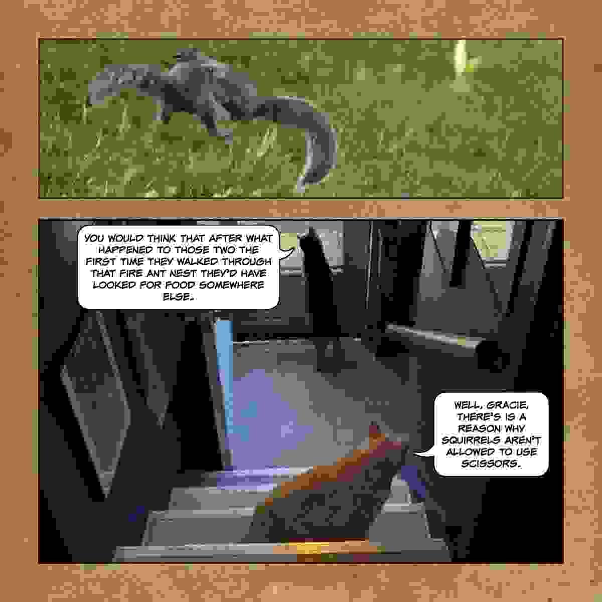 Section image