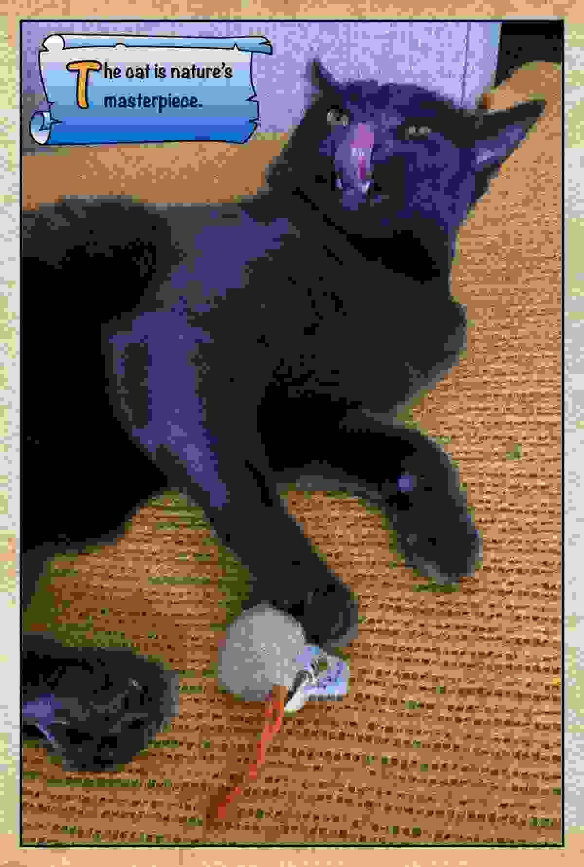 broken image