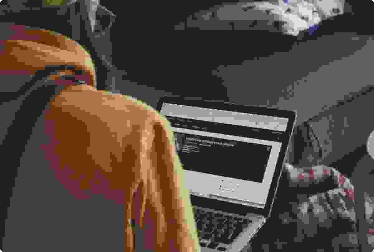 Além do Código: A Arte e a Ciência do Domínio do Firewall de Aplicação Web