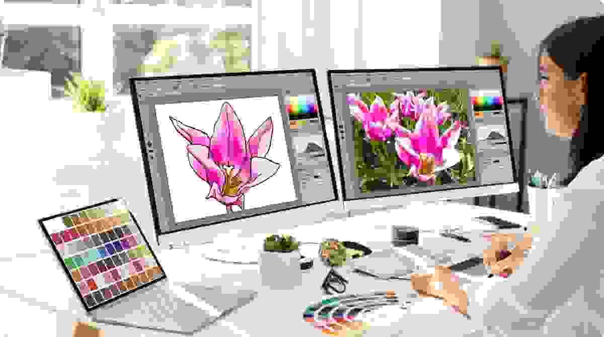 Ontdek de Magie van Vectorafbeeldingen