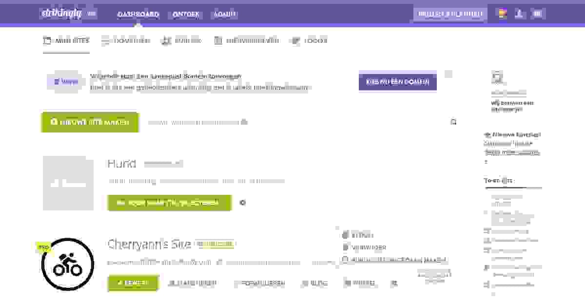 Voorbij de Code: De Kunst en Wetenschap van Meesterschap in Website Applicatie Firewalls