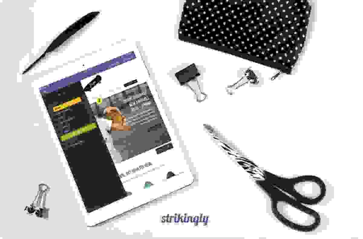 Passo a Passo para Criar uma Campanha de Marketing Vencedora com Strikingly