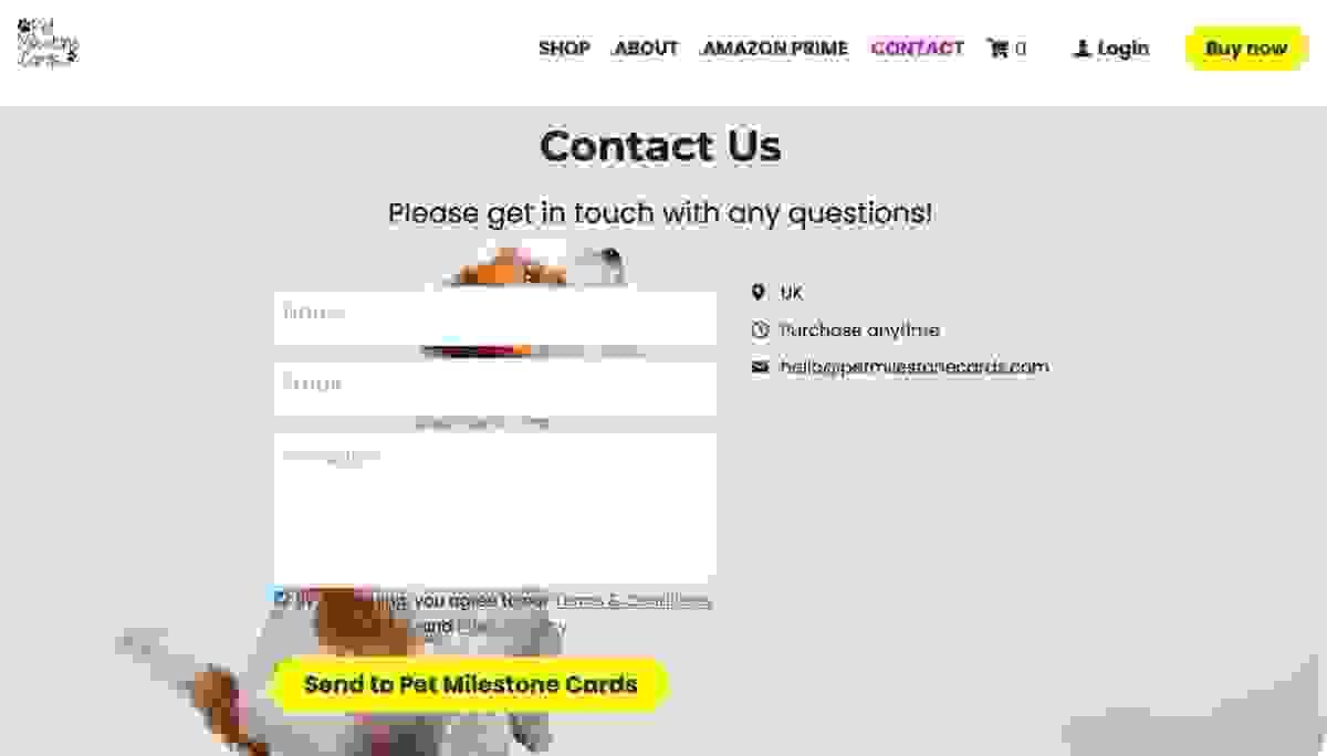Domínio de E-mail de Marca: Eleve Sua Comunicação