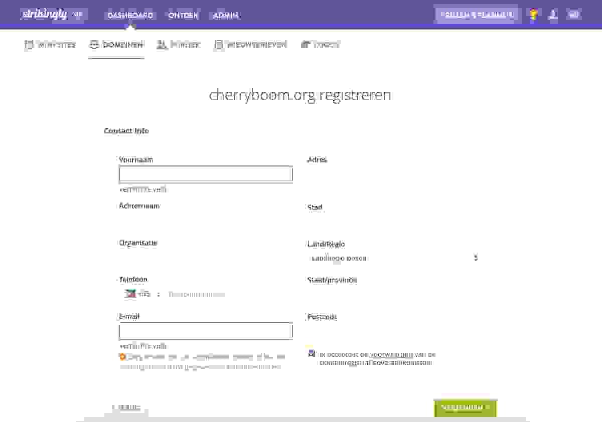 Domeinbeslissingen Ontcijferen: Hoe Kies Je Een Domeinnaam Voor Je Website