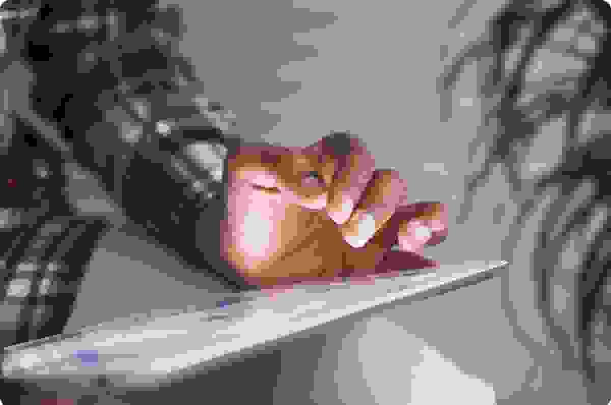 X-Ray Visie Voor Bedrijven: De Geheimen Van Concurrentieanalyse Onthuld
