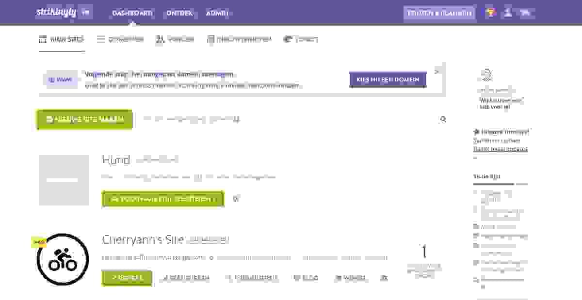 Van Keuzes Tot Conversies: Hoe Productopties Uw Online Aanwezigheid Kunnen Vergroten