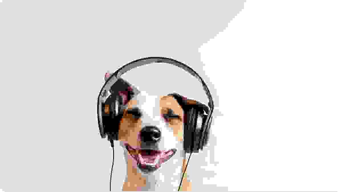 Die Kunst des Social Listening: Verwandeln Sie das Engagement Ihrer Marke