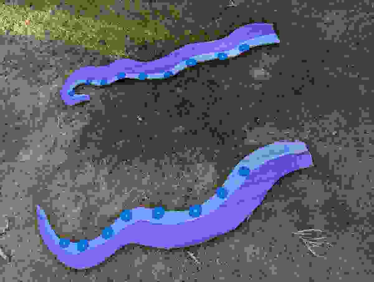Section image
