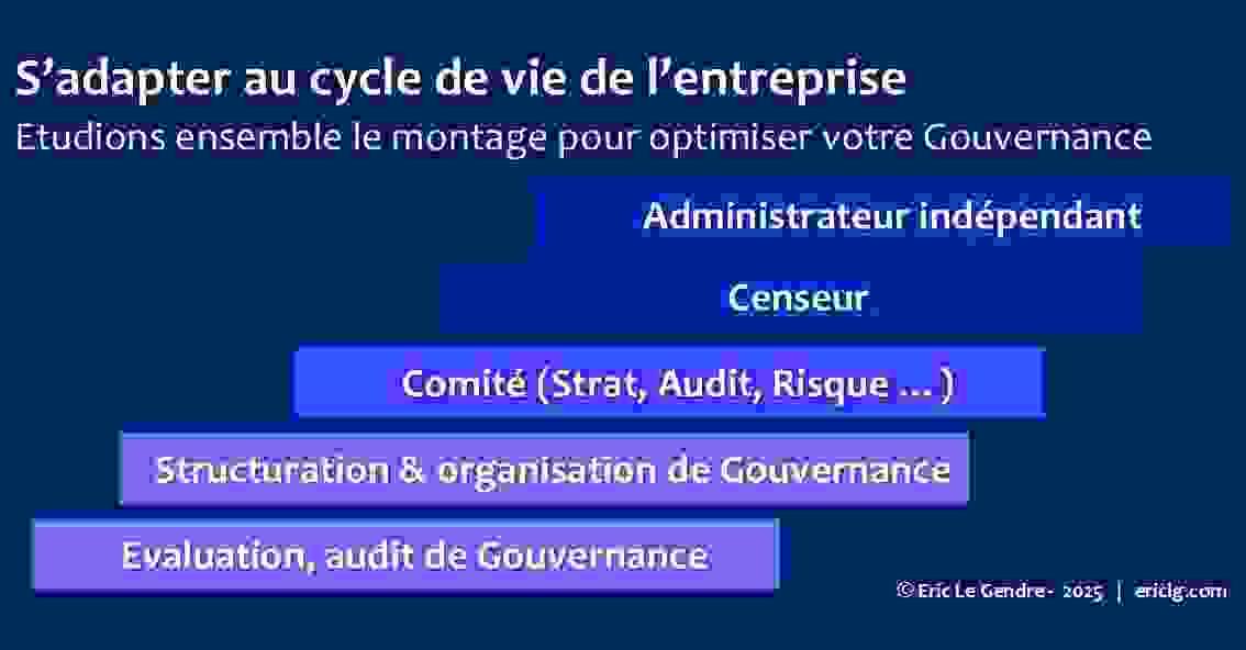 Audit de Gouvernance, organisation Gouvernance, Administrateur, Board Audit de Gouvernance, organisation Gouvernance, Administrateur, Board