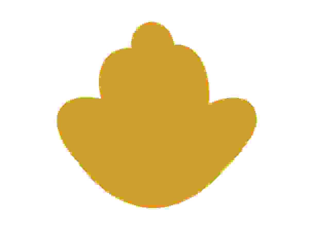 broken image