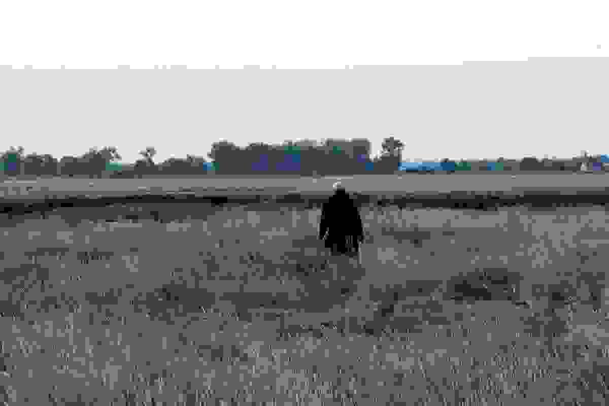 Section image