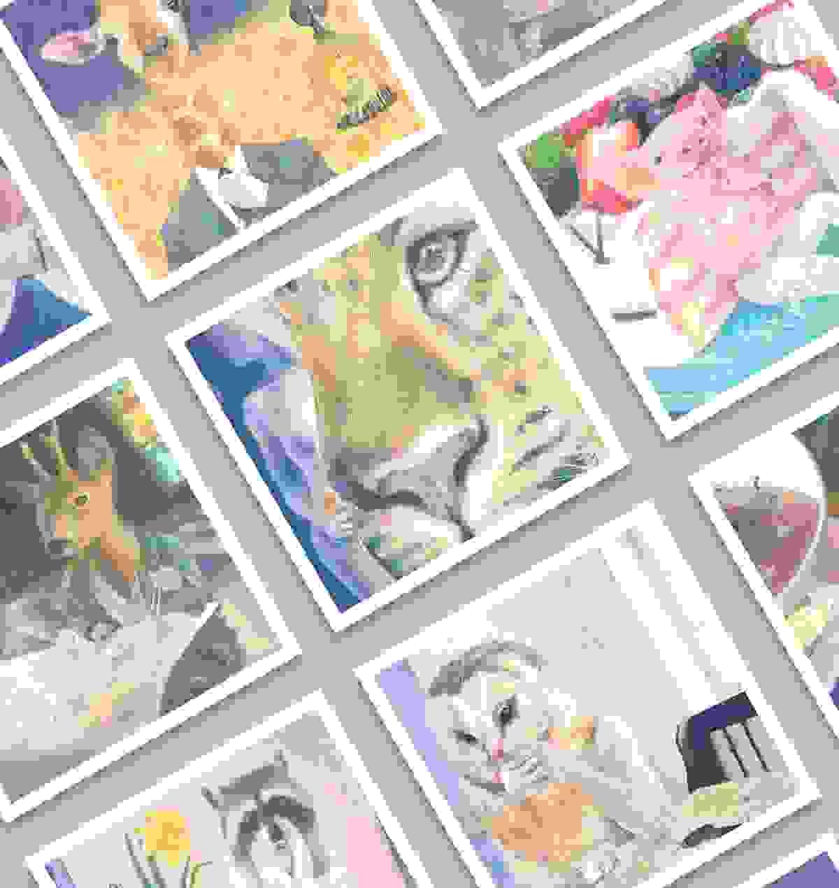 broken image