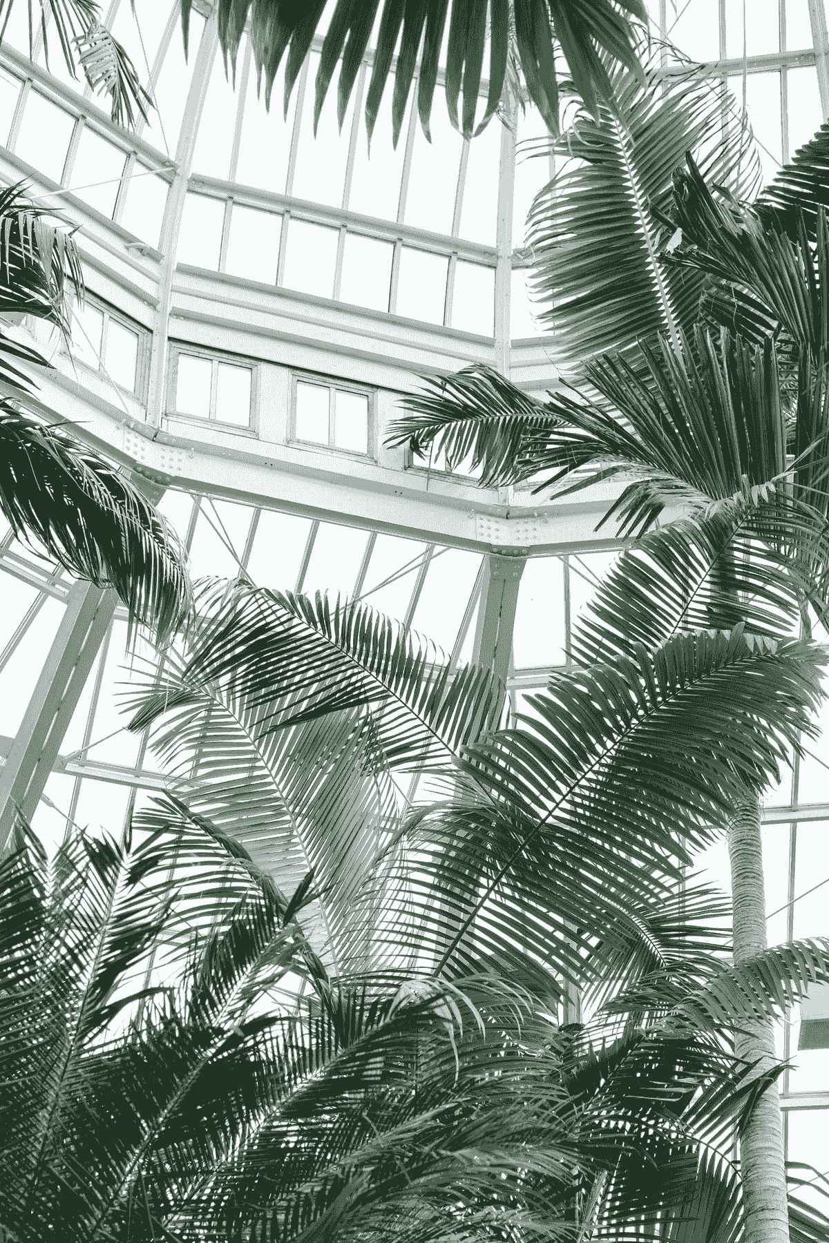 Smart Window Solutions offered by leading window manufacturing companies