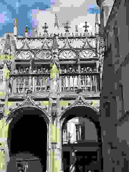 broken image