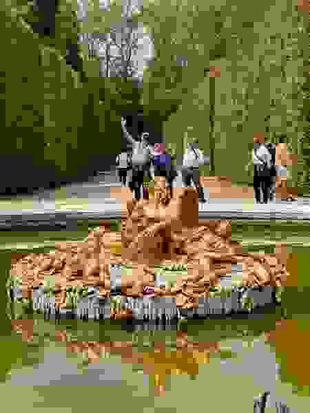 broken image