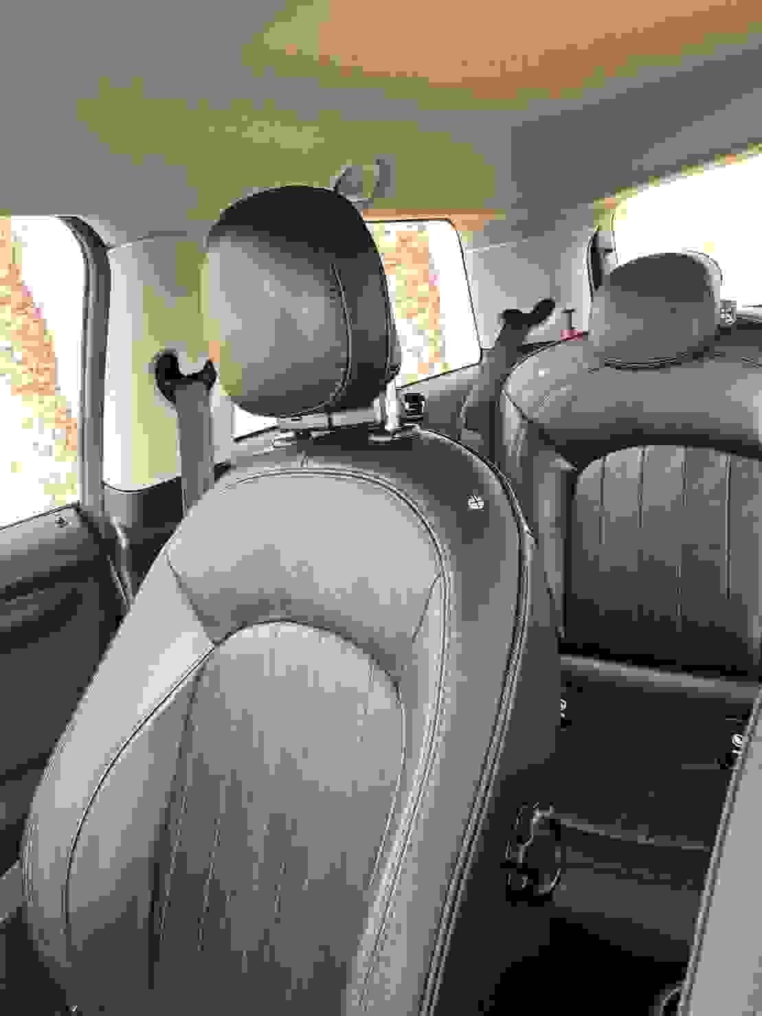 Section image