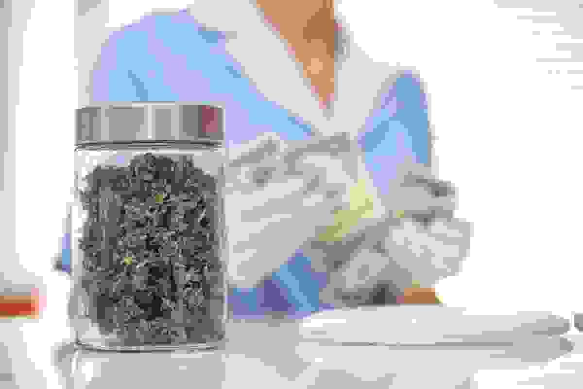 broken image