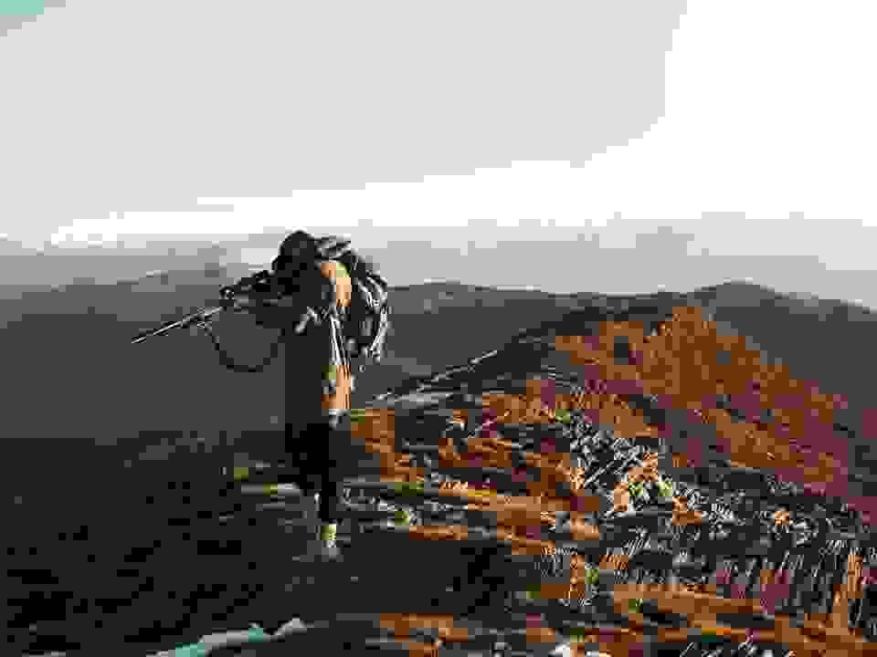 broken image