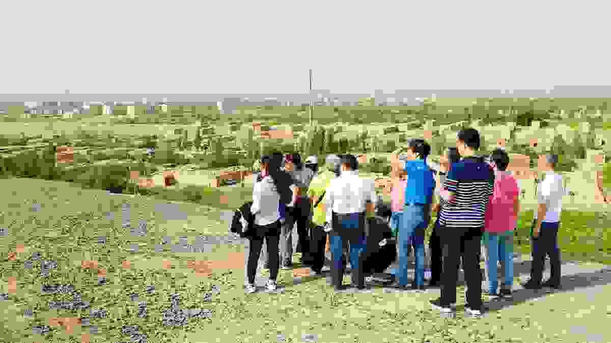 Section image