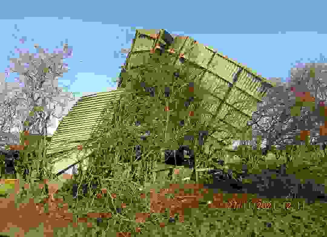 Section image