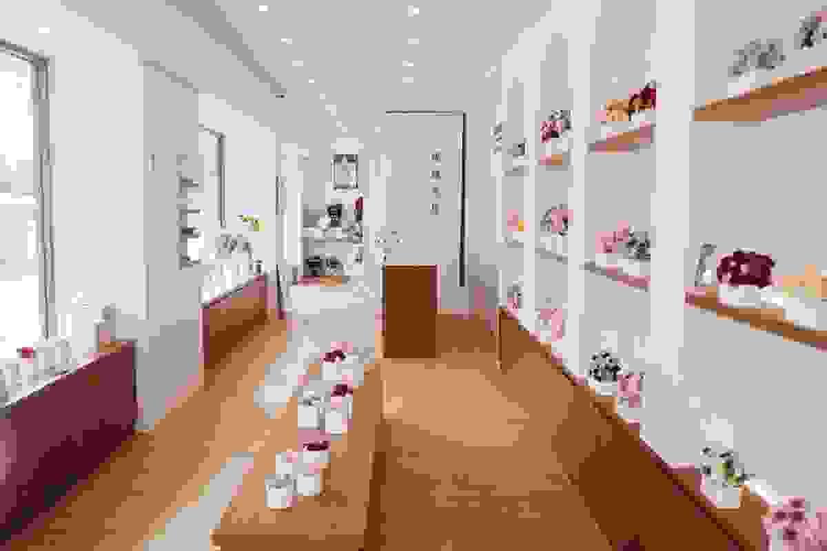 broken image