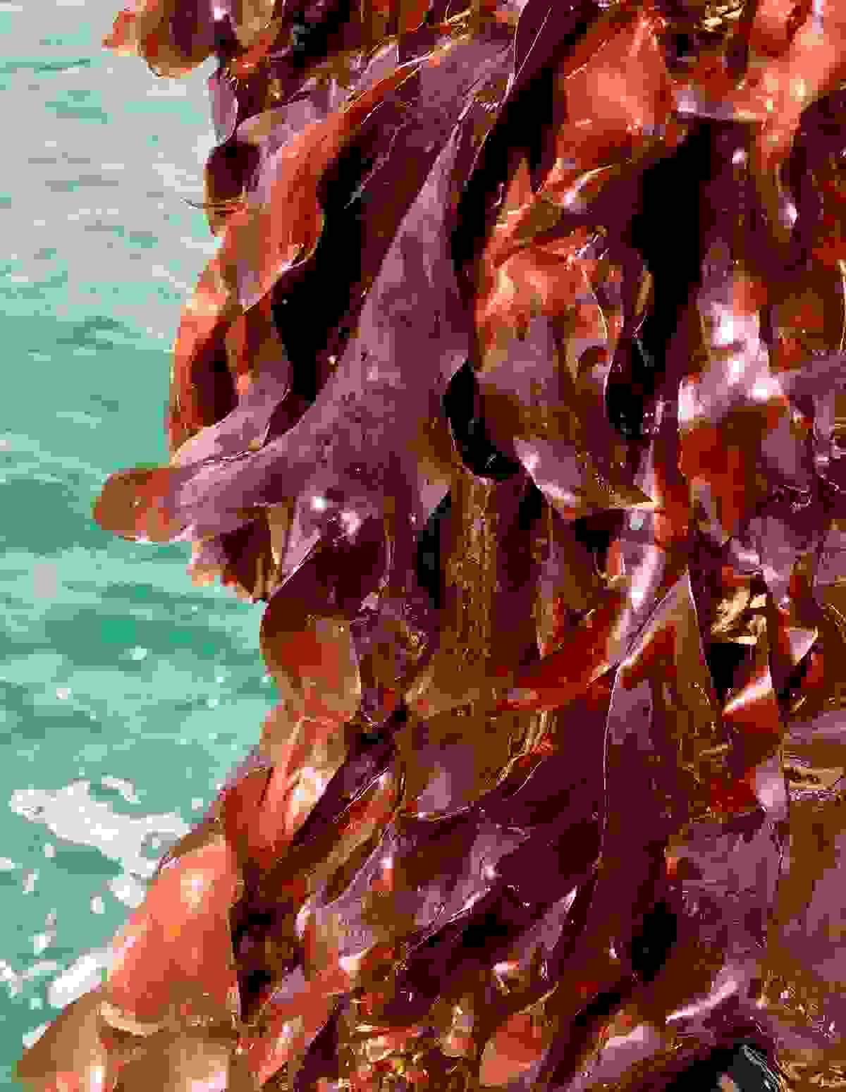 Section image