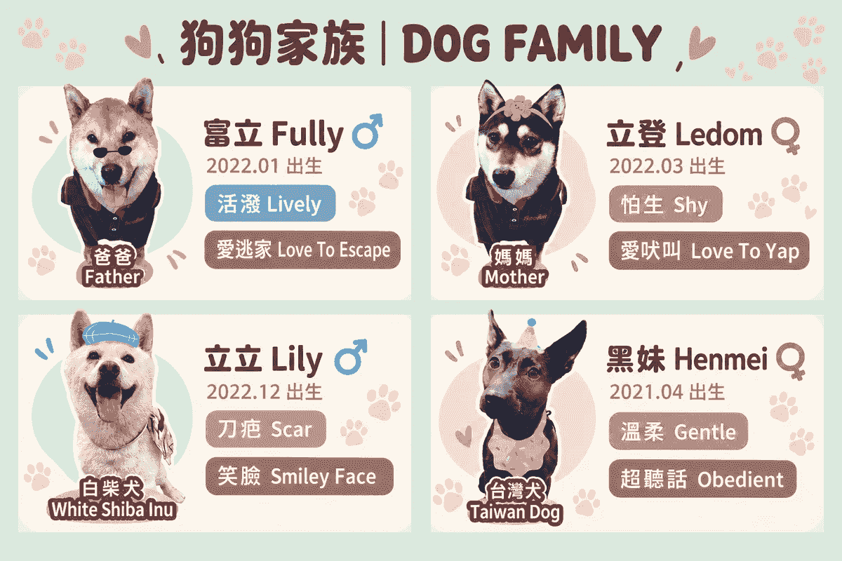 富立登狗狗家族介紹:柴犬富立、黑柴立登、白柴立立與台灣犬黑妹 富立登狗狗家族介紹:柴犬富立、黑柴立登、白柴立立與台灣犬黑妹