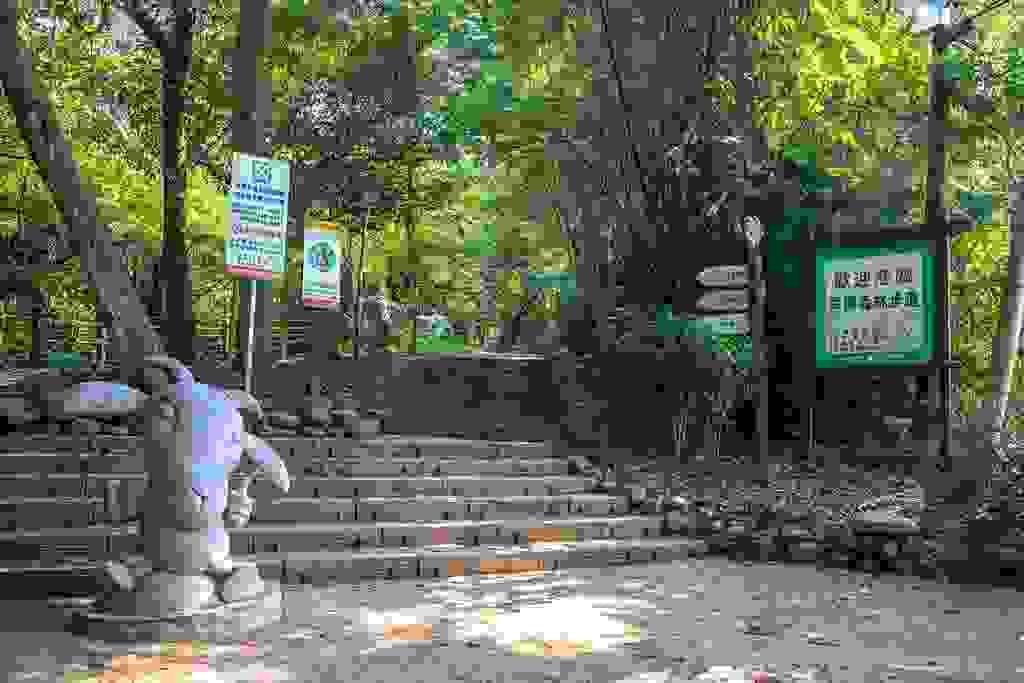 Section image