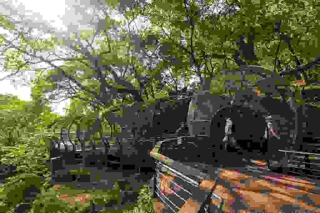 Section image