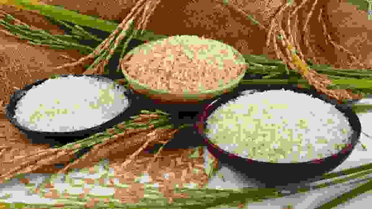Fortified Rice Price