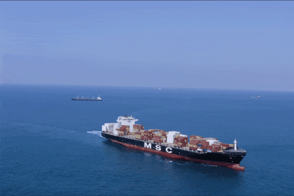 Modello logistico combinato tra trasporto marittimo e terrestre dei pannelli fotovoltaici, per migliorare l’efficienza dello sdoganamento e la prevedibilità delle consegne