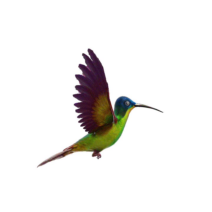 صورة متحركة GIF