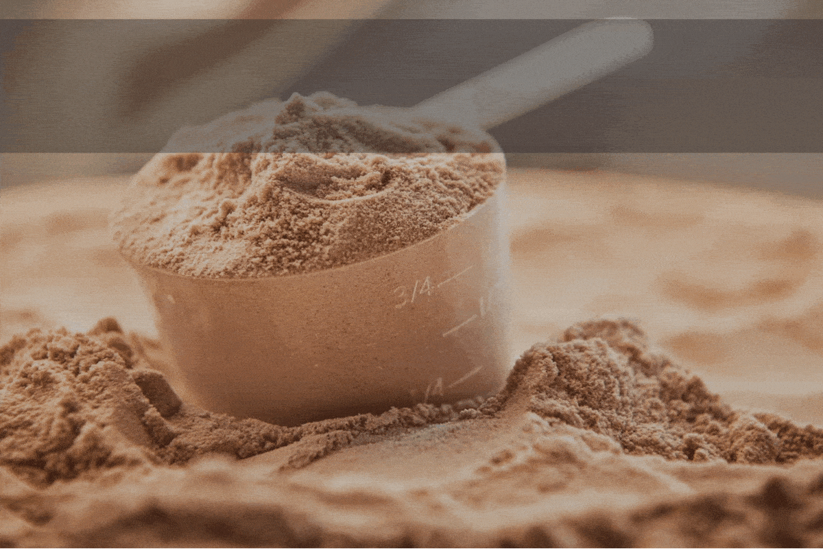 GUIDE TO BOOST YOUR MUSCLES WITH PROTEIN protein supp...