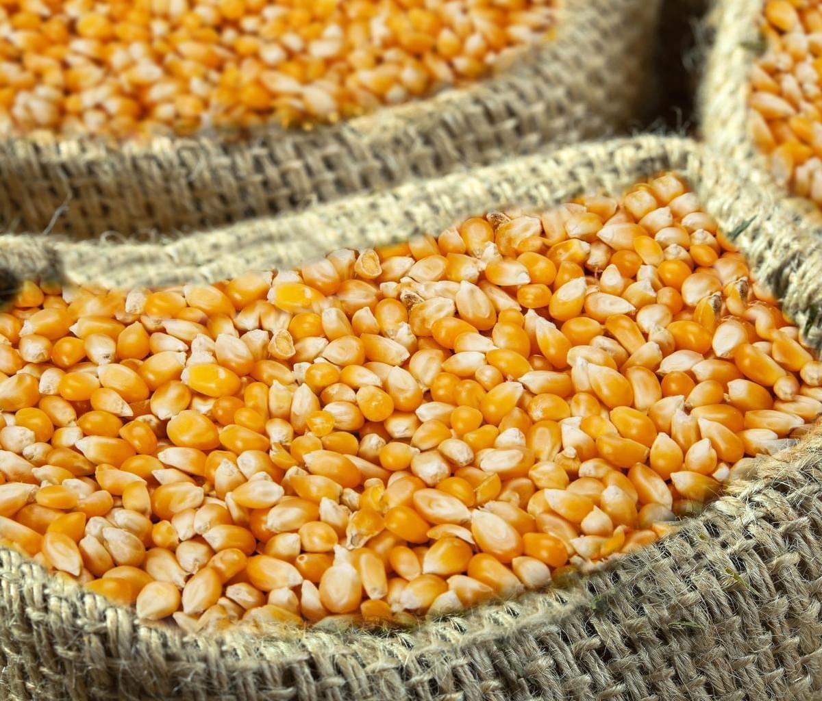 Affordable Mesh Corn Bags Wholesale Buy in Bulk Today...