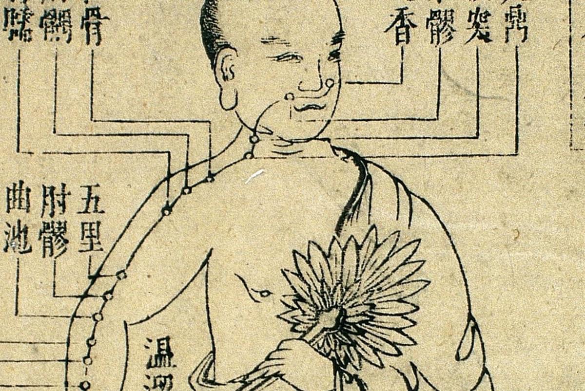 Tai Chi Chuan, pratique et bénéfices - Art Martial Chin...