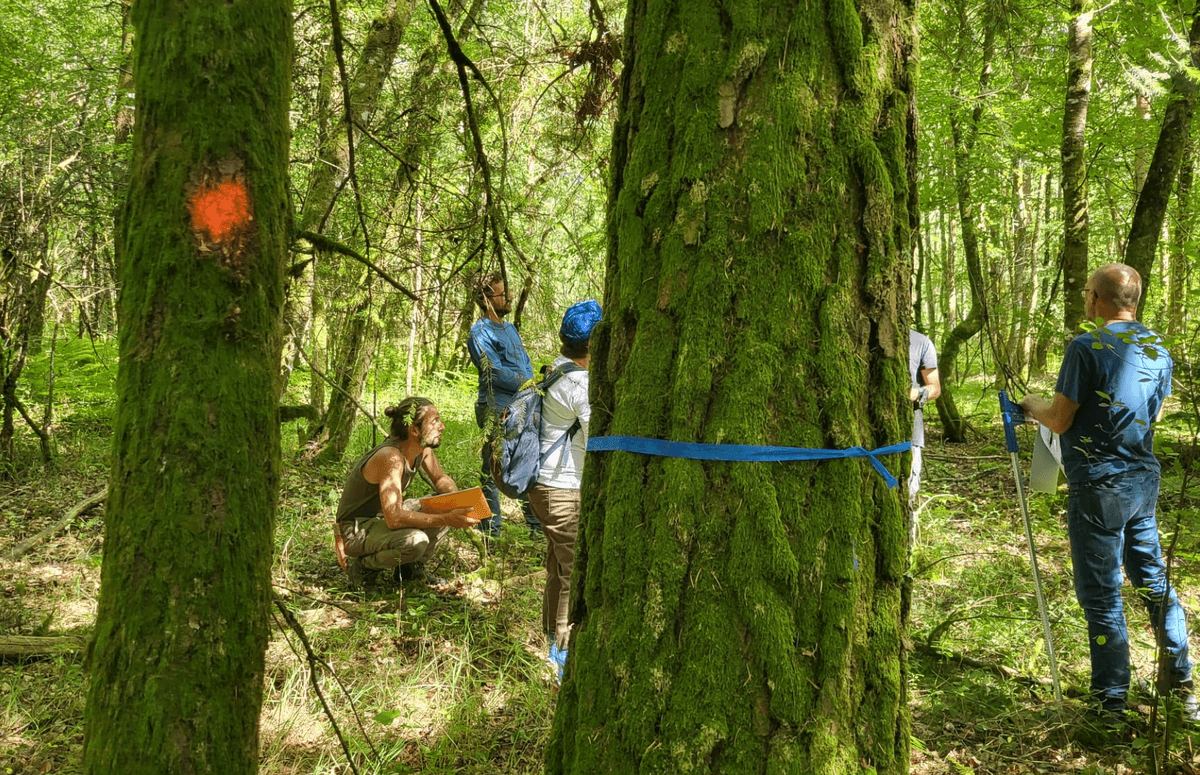 Section image