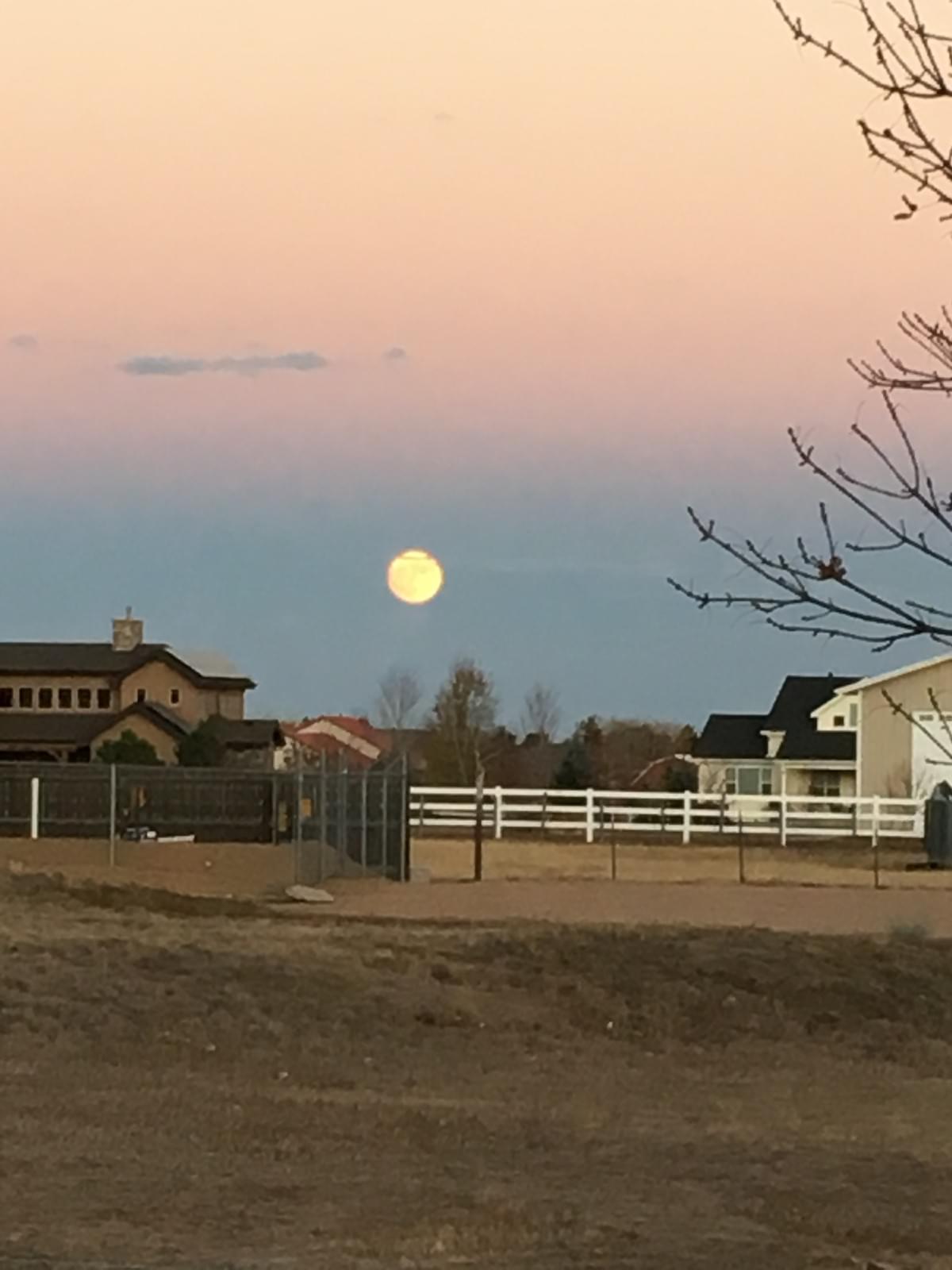 Thoughts on Illegal Immigration Cory Isaacson