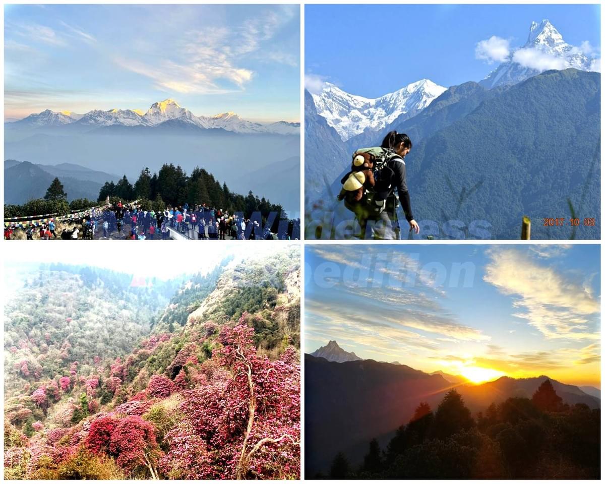 POON HILL(普恩山)健行