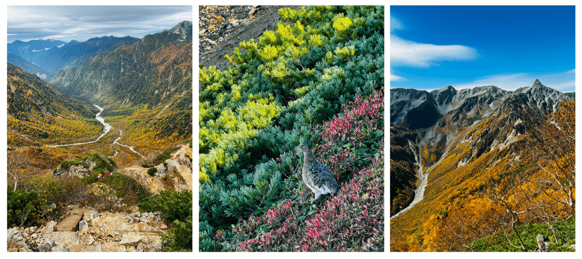 五天五夜‧ 表銀座縱走