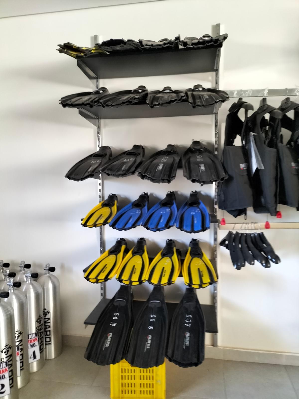 Daily Diving Trips