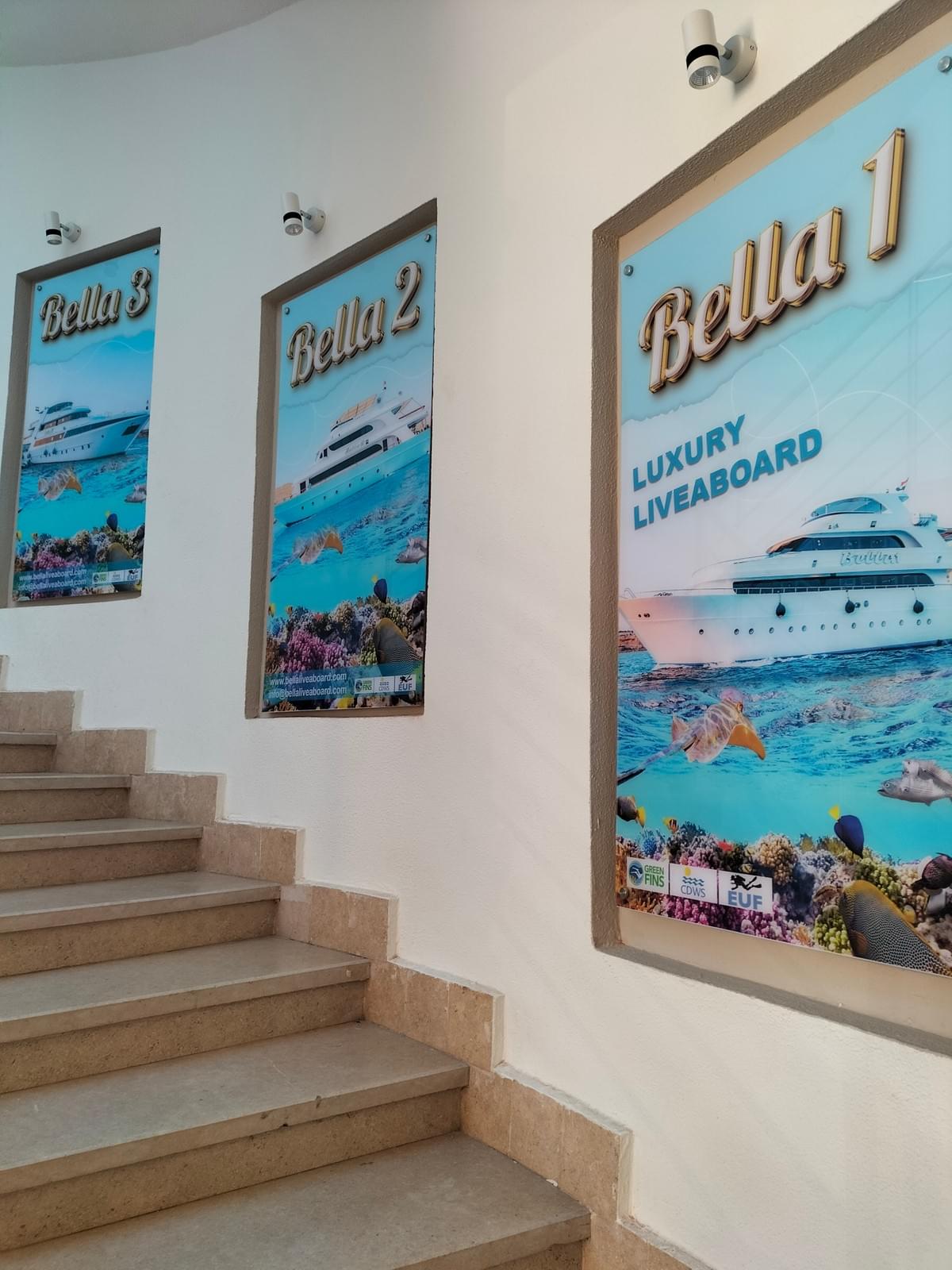 Daily Diving Trips