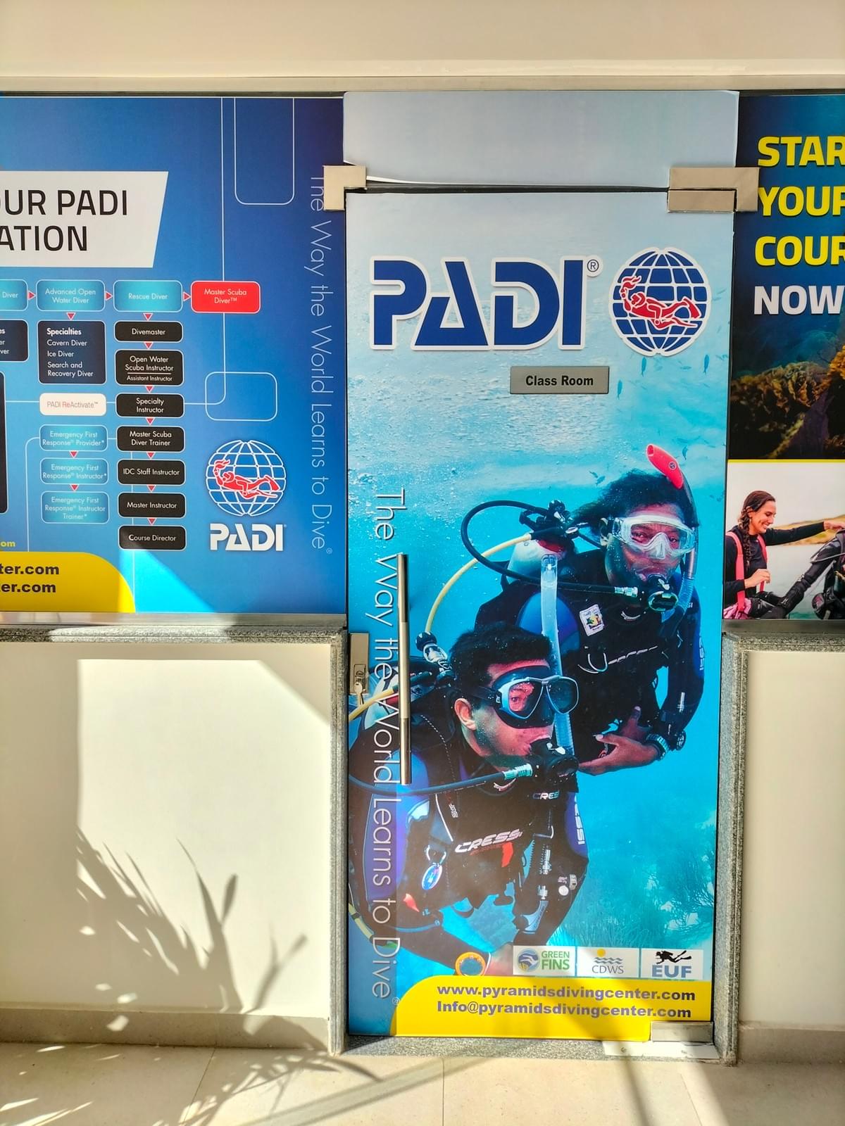 Daily Diving Trips